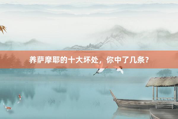养萨摩耶的十大坏处,你中了几条?