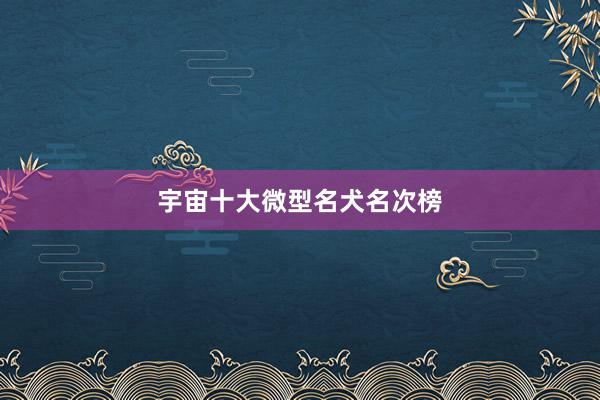 宇宙十大微型名犬名次榜